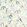 Tropical Forest Wallpaper by Casadeco Multico Fond Blanc