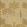 Tropical Frond Mural by Eijffinger Beige/Sand