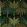 Tropical Frond Mural by Eijffinger Green