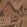 Tropical Palm Wallpaper by Eijffinger Brown / Taupe