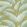 Tropicalia Wallpaper by Caselio Kaki