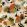 Tropicalia Wallpaper by Tres Tintas Arena