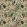 Tropics Wallpaper by Avalana Blush