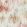 Trueno Fabric by Clarke & Clarke Spice