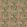 Trumpet Flowers Fabric by GP & J Baker Blush