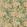 Trumpet Flowers Wallpaper by GP & J Baker Blush