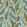 Tulips Festival Wallpaper by Ottoline Blue