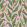 Tulips Festival Wallpaper by Ottoline Pink