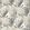 Under The Sea Wallpaper by Thibaut Black and White