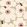 Unikko Wallpaper by Marimekko Putty