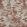 Utopia Fabric by Prestigious Textiles Coral
