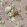 V&A Georgette Fabric by Arley House Blush