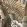 Vedure Wallpaper by Arte Winter Garden