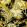 Vegetable Wallpaper by Coordonne Black