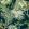 Vegetable Wallpaper by Coordonne Green