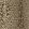 Velours Leopard Fabric by Nobilis Taupe
