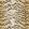 Velours Tiger Fabric by Nobilis Beige
