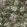 Verdure 16TH Wallpaper by Coordonne Ecru