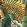 Verdure Wallpaper by Arte Green Gold