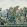 Verdure Tapestry Mural by Cole & Son Viridian