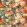 Very Rose And Peony Velvet Fabric by Sanderson Kingfisher/Rowan Berry