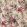 Waikiki Fabric by Prestigious Textiles Spice