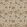 Wainscott Fabric by Warwick Coralee