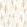 Walk In The Forest Wallpaper by Casadeco Beige Nude