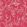 Wallflower Wallpaper by MINDTHEGAP Raspberry