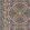 Walthamstow Wallpaper by Morris & Co Indigo/Gold