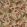Bird & Blossom Fabric by Warwick Antique