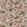 Kingsburgh Fabric by Warwick Vintage