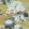 Water Lilies Wallpaper by 1838 Wallcoverings Honey