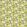 Waterlily Wallpaper by Ohpopsi Charcoal & Mustard