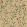 Wild Blackthorn Wallpaper by Coordonne Sunny
