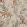 Wild Forest Wallpaper by Borastapeter Almond