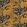 Wild Grasses Wallpaper by Avalana Gold
