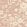 Wild Meadow Wallpaper by George & Minnie Blush