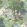 Wild Wild Woods Wallpaper by Divine Savages Wild Wild Woods