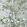 Wild Wisteria Mural by Thibaut Metallic Silver
