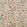 Wild Wood Fabric by Andrew Martin Ivory