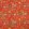 Wild Wood Fabric by Andrew Martin Pumpkin
