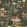 Wildlife Creek Wallpaper by Rebel Walls Forest Green