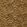 Wildstripe Fabric by Clarke & Clarke Bronze