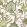 Windsor Wallpaper by Thibaut Brown And Green