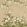 Wisteria Bloom Mural by 1838 Wallcoverings Alabaster
