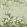 Wisteria Bloom Mural by 1838 Wallcoverings Pistachio
