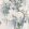 Wisteria Wallpaper by Woodchip & Magnolia Cornflower Blue
