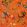 Wonderland Floral Velvet Fabric by Harlequin Amber/Lapis/Ruby