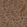 Woodblock Beetle Flora Wallpaper by Moooi Walnut